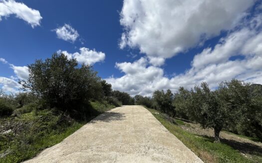 Terreno con casi 40.000 m² en venta en Ríogordo, Málaga