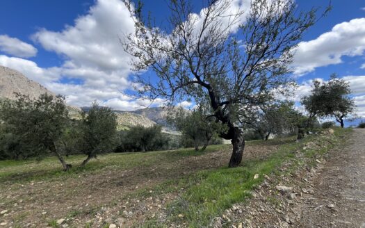 Terreno con casi 40.000 m² en venta en Ríogordo, Málaga